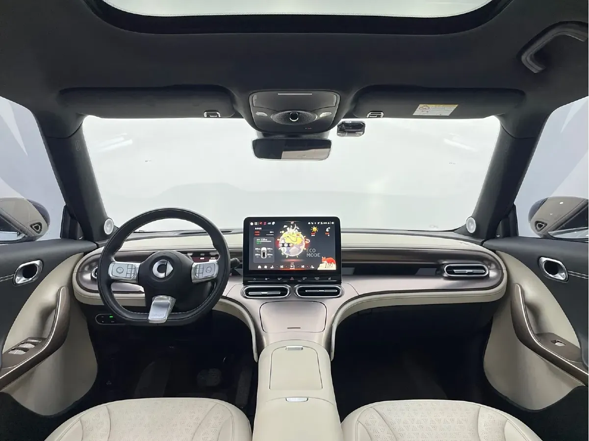 2022 Smart smart Elf 1 BEV 66KWH,autocango,china used car exporter,china ev exporter,chinese used car exporter,chinese used ev exporter