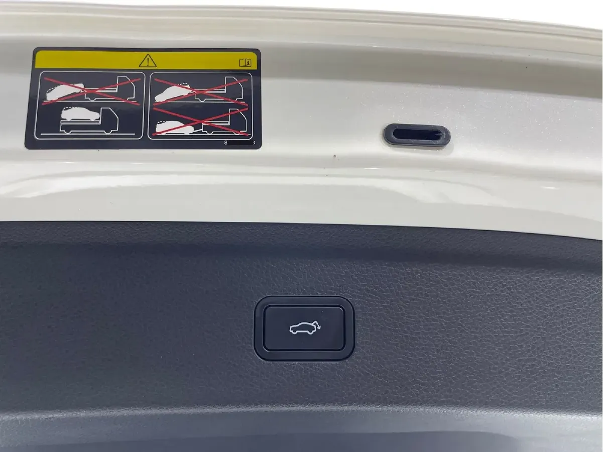 2022 Smart smart Elf 1 BEV 66KWH,autocango,china used car exporter,china ev exporter,chinese used car exporter,chinese used ev exporter