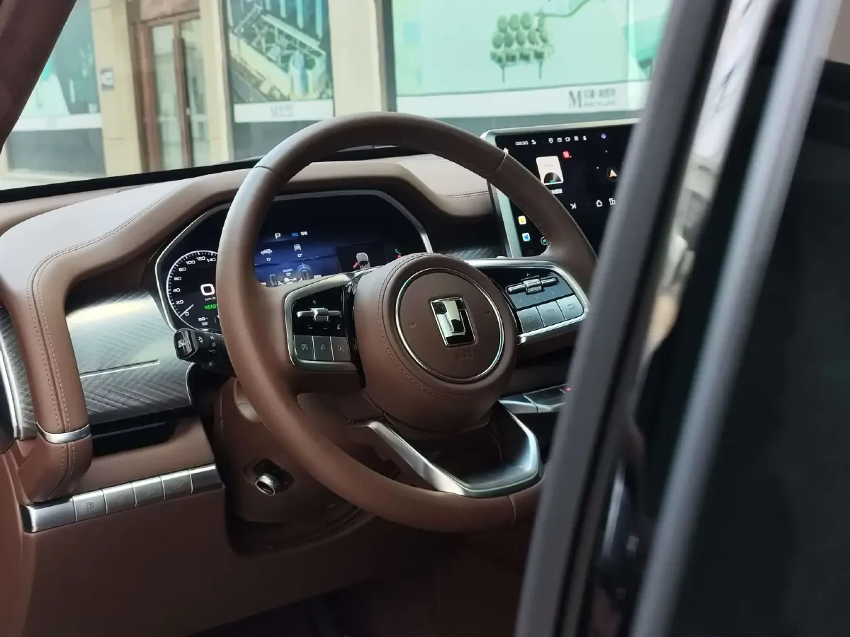 2024 Tank 700 3.0T 360HP V6 9AT PHEV 37.1KWH,autocango,china used car exporter,china ev exporter,chinese used car exporter,chinese used ev exporter