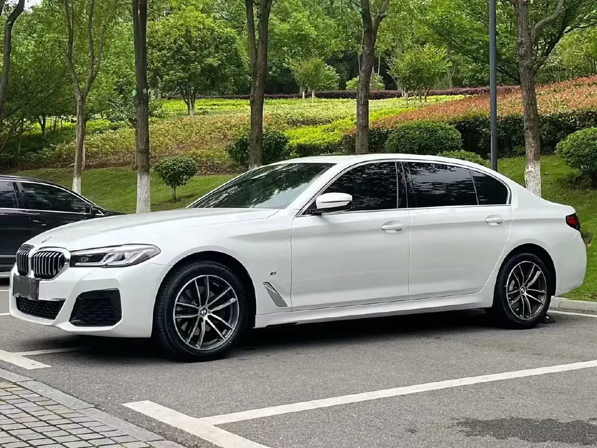2021 BMW 5 Series 2.0T 252HP L4 8AT