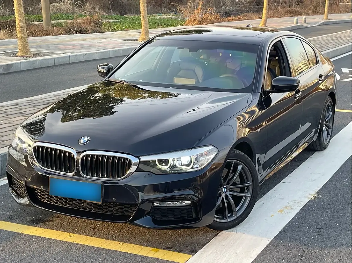 2018 BMW 5 Series 2.0T 184HP L4 8AT