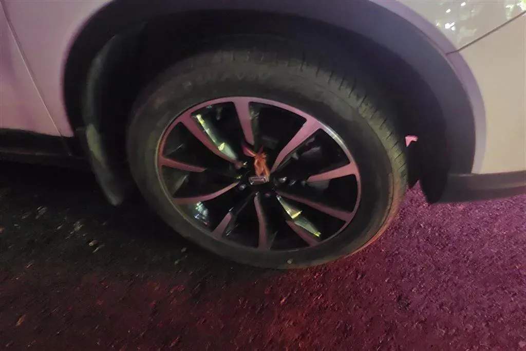 2021 Bestune T33 1.2T 143HP L4 7DCT,autocango,china used car exporter,china ev exporter,chinese used car exporter,chinese used ev exporter