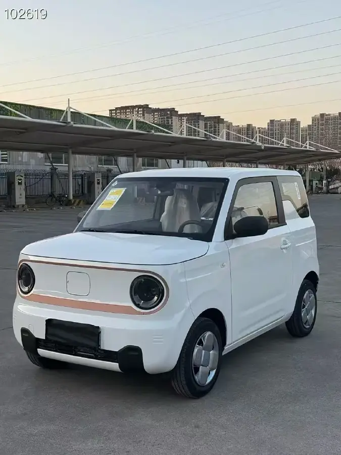2024 Geely Panda BEV 17.03KWH