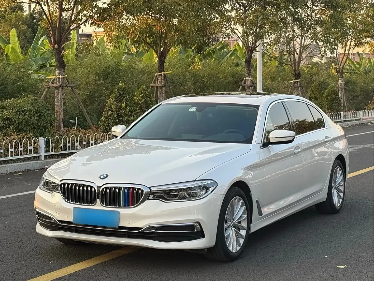 2020 BMW 5 Series 2.0T 252HP L4 8AT