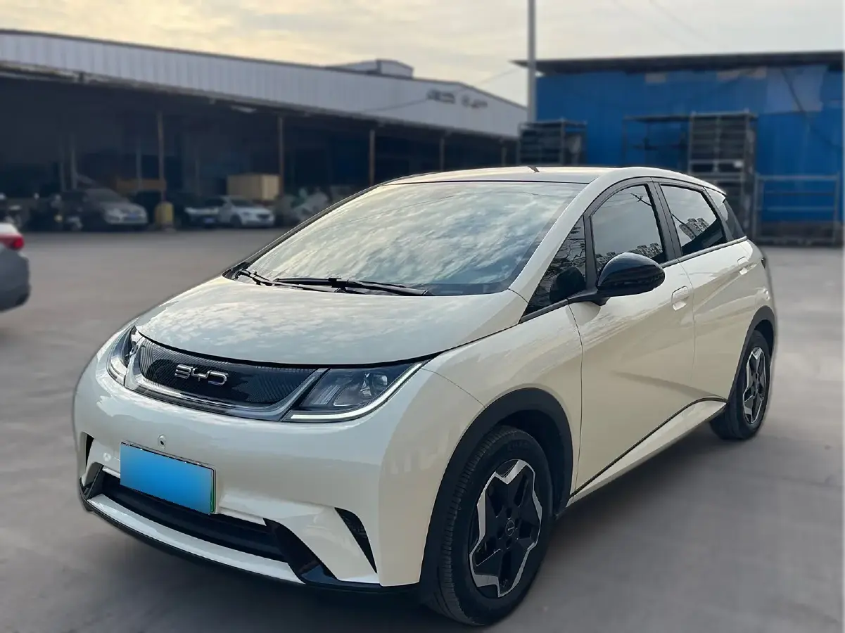 2021 BYD Dolphin BEV 44.9KWH