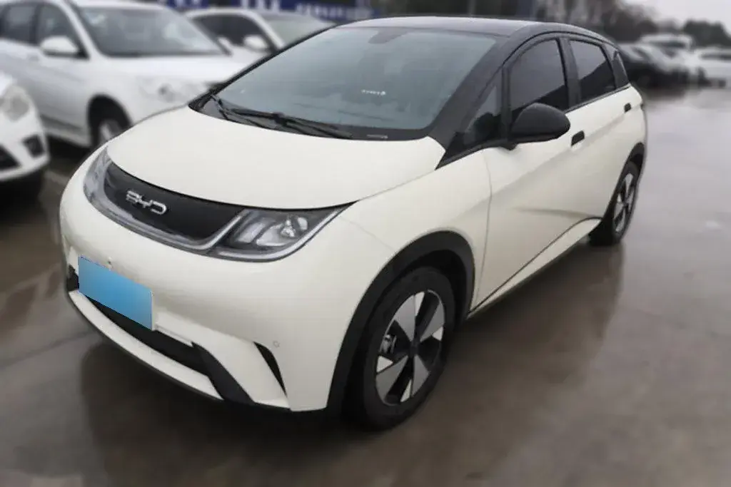 2023 BYD Dolphin BEV 44.928KWH