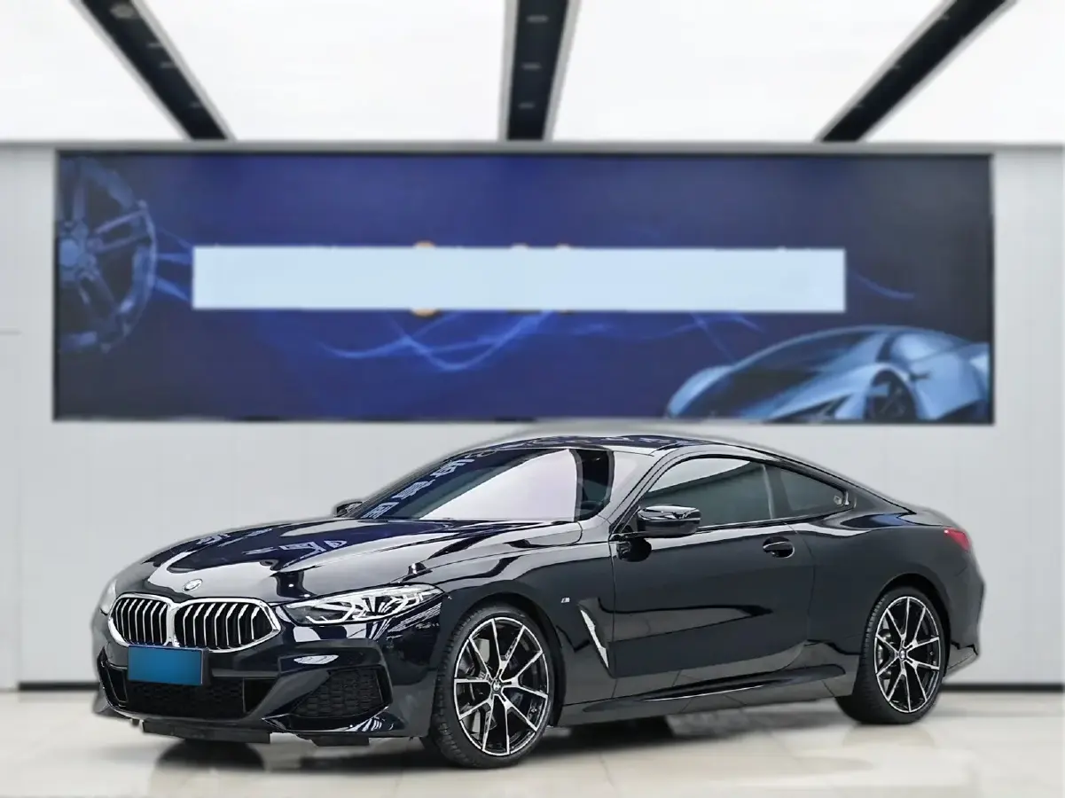 2019 BMW 8 Series 3.0T 340HP L6 8AT