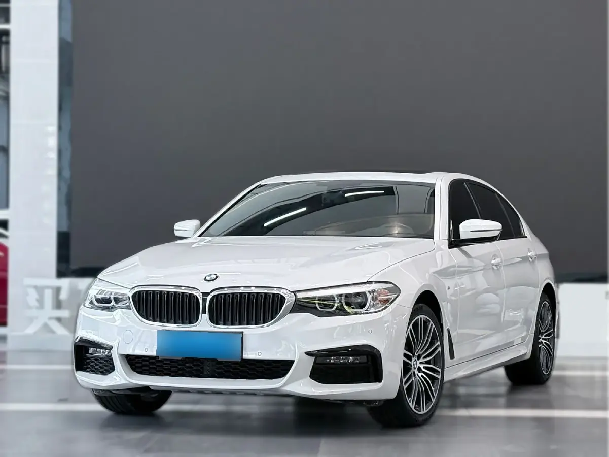 2018 BMW 5 Series 2.0T 252HP L4 8AT