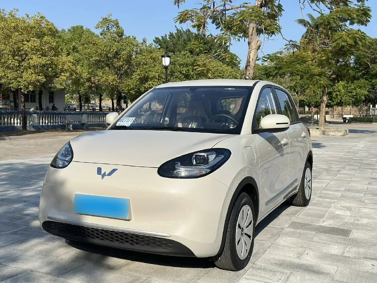 2024 WuLing BinGuo BEV 17.3KWH