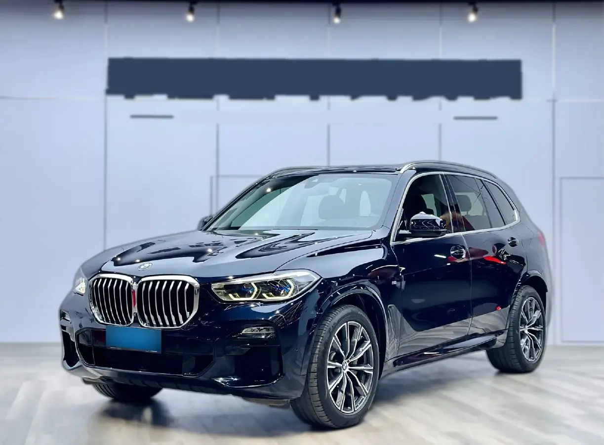 2019 BMW X5 3.0T 340HP L6 8AT 2019 BMW X5 3.0T 340HP L6 8AT