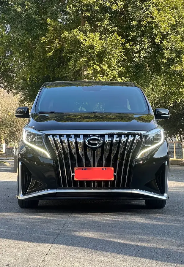 2021 GAC Trumpchi M8 2.0T 252HP L4 8AT