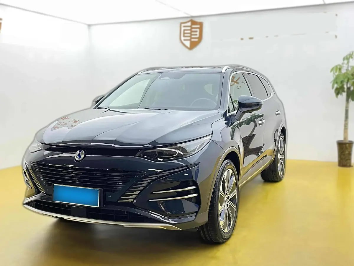 2023 Denza N8 1.5T 139HP L4 E-CVT PHEV 45.8KWH