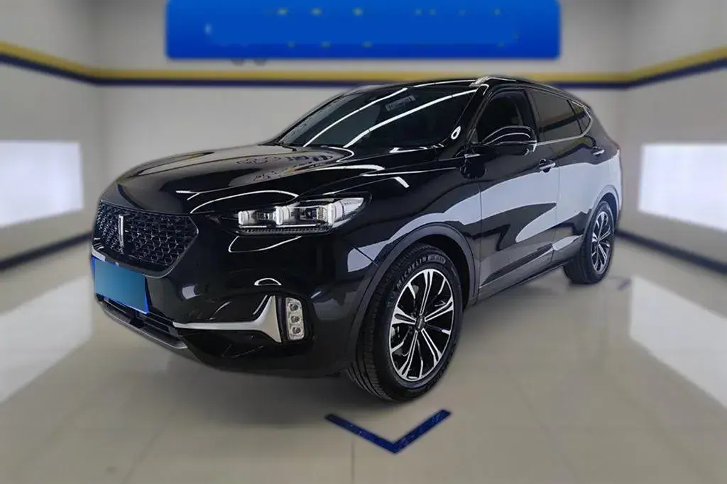 2021 WEY VV6 2.0T 227HP L4 7DCT