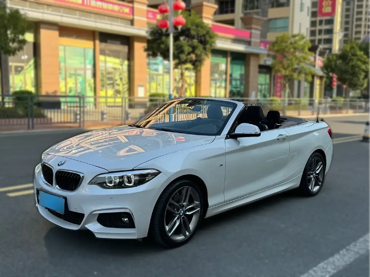 2018 BMW 2 Series 2.0T 184HP L4 8AT