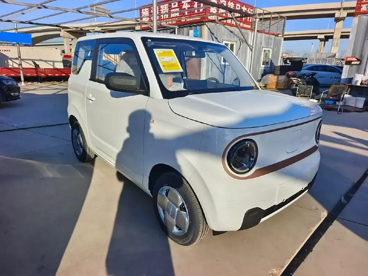 2024 Geely Panda BEV 17.03KWH