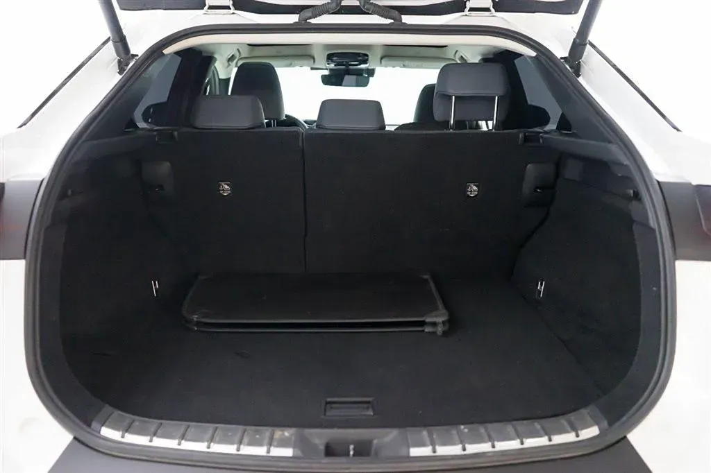 2023 Lexus RZ BEV 66KWH,autocango,china used car exporter,china ev exporter,chinese used car exporter,chinese used ev exporter