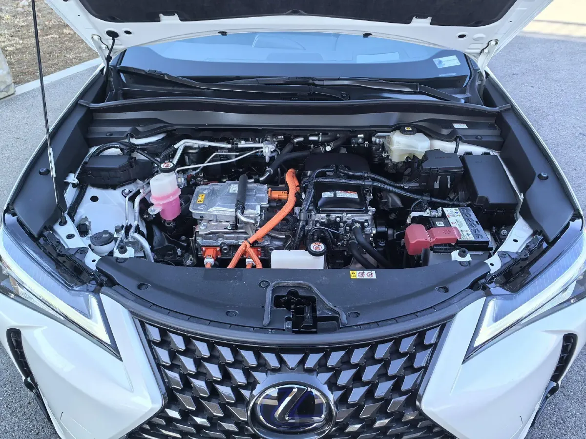 2020 Lexus UX BEV 54.35KWH,autocango,china used car exporter,china ev exporter,chinese used car exporter,chinese used ev exporter