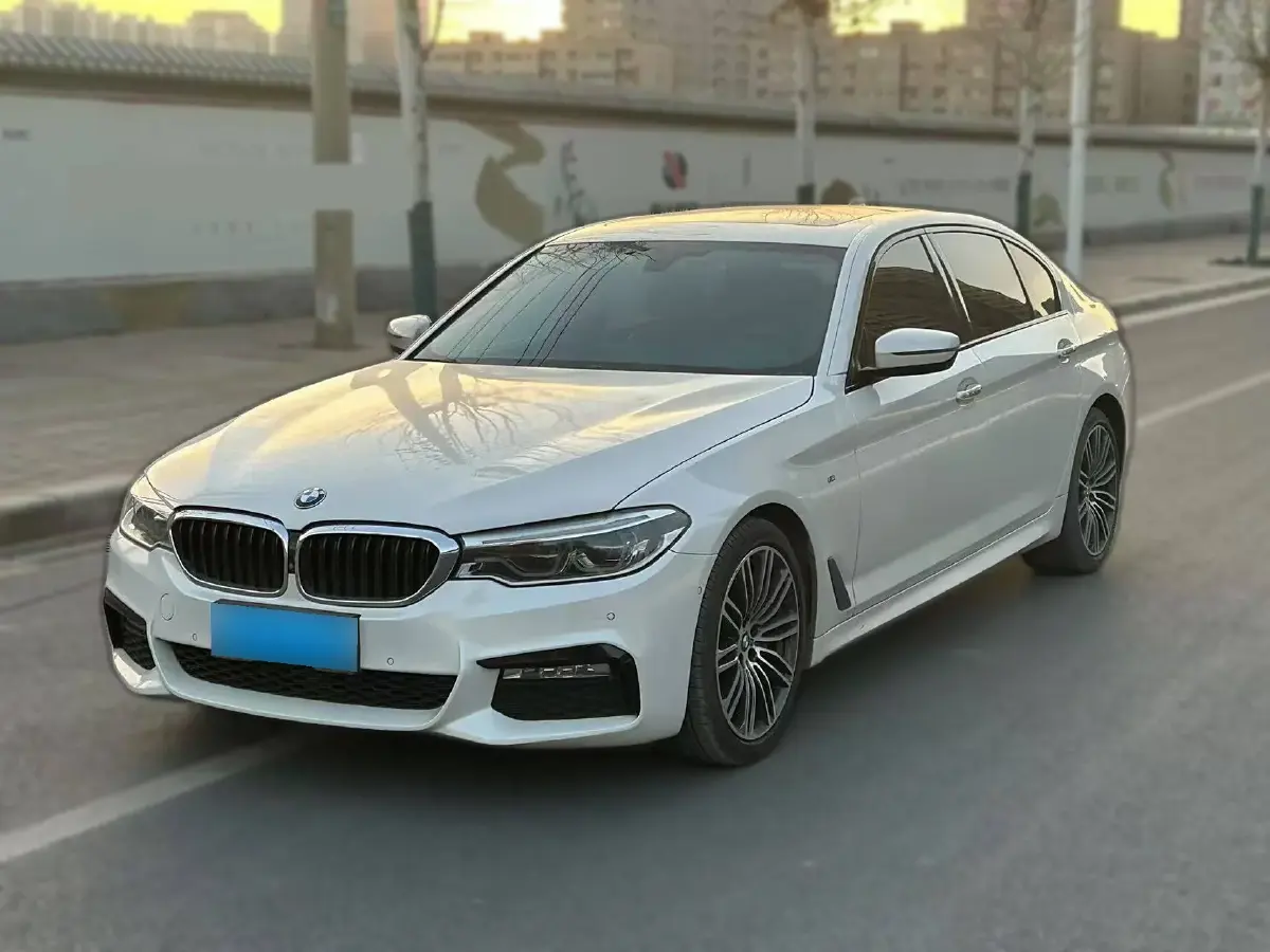 2018 BMW 5 Series 2.0T 252HP L4 8AT