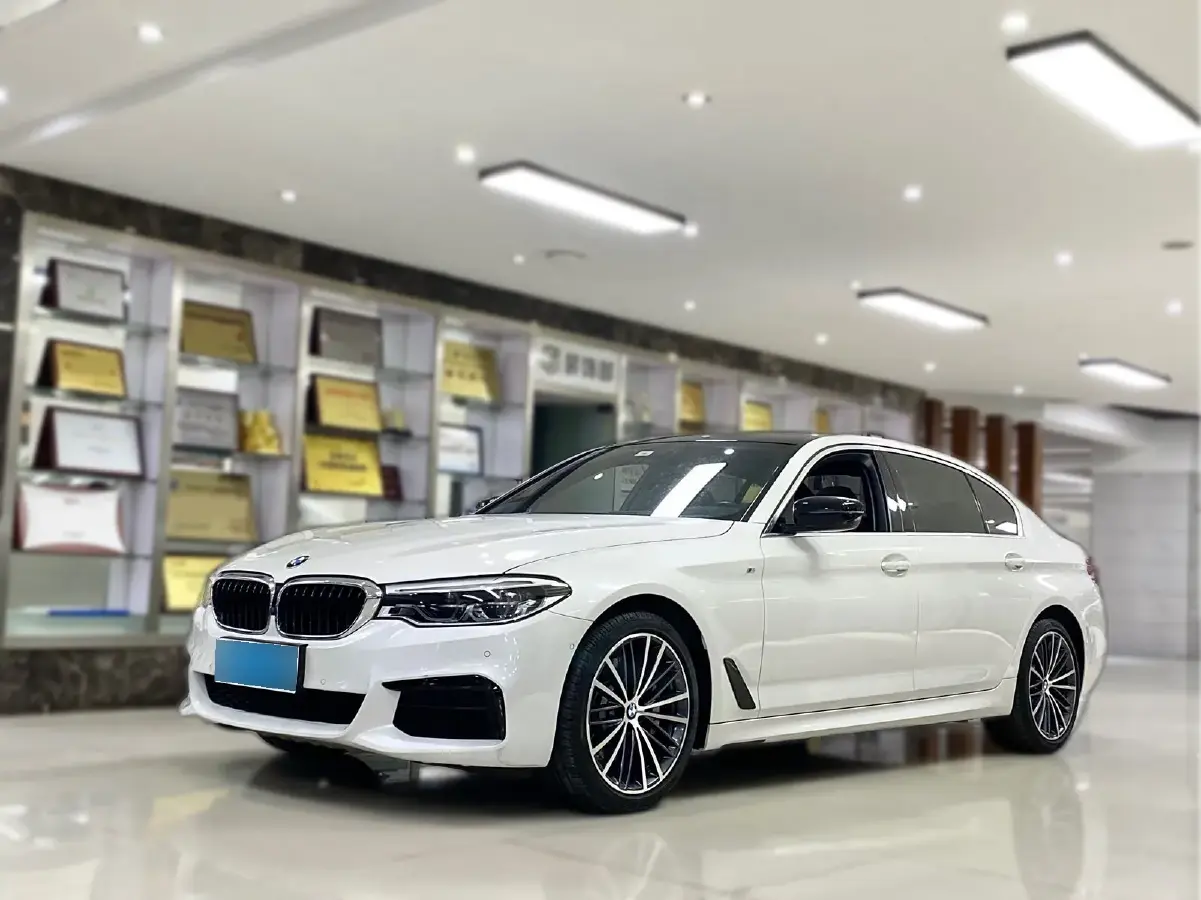 2020 BMW 5 Series 2.0T 252HP L4 8AT