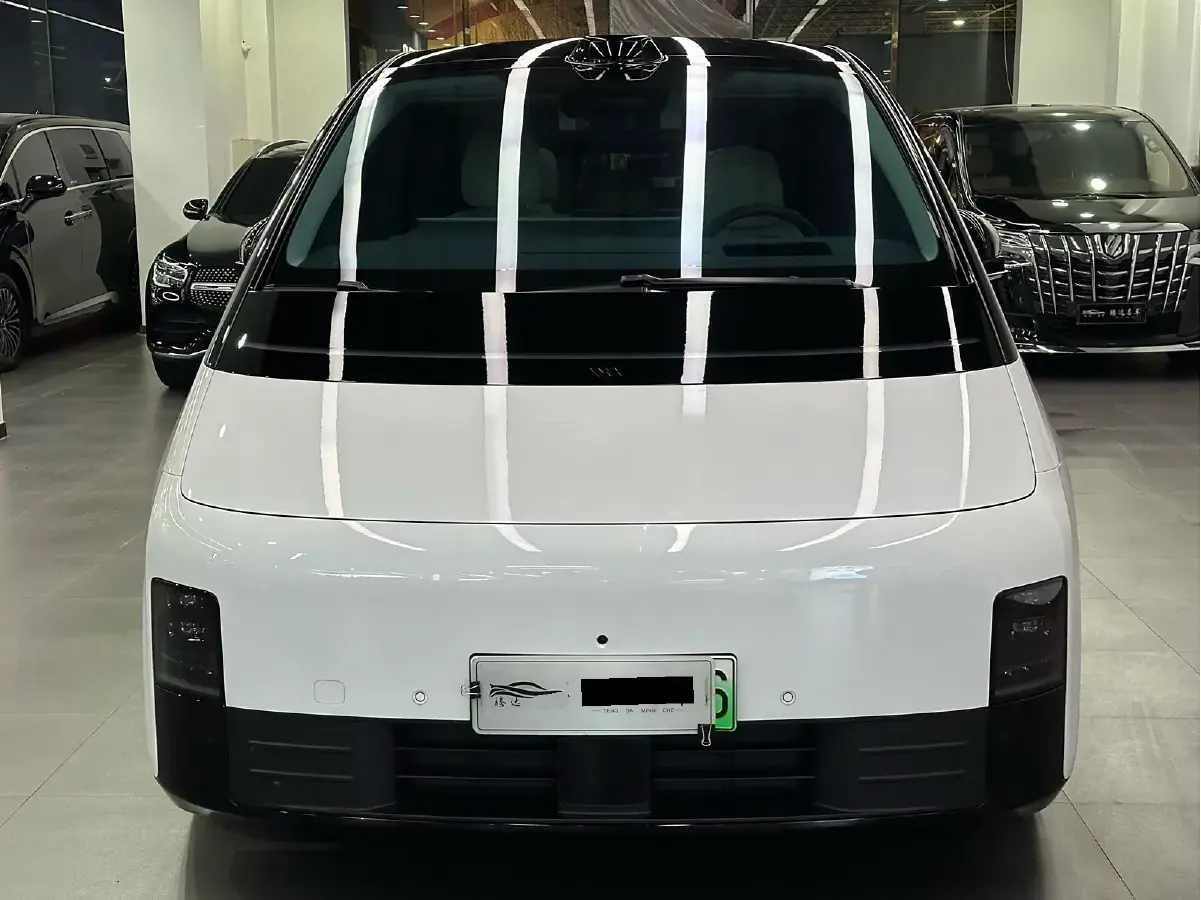 2024 Li MEGA BEV 102.7KWH