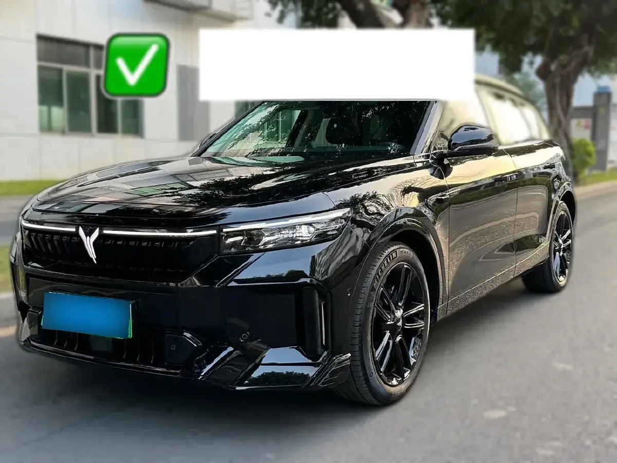 2024 Voyah FREE 1.5T 150HP L4 REEV 39.2KWH