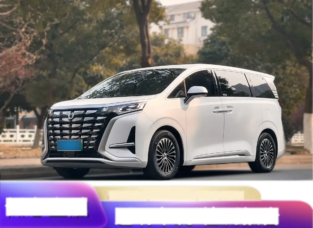 2022 Denza D9 1.5T 139HP L4 E-CVT PHEV 40.06KWH