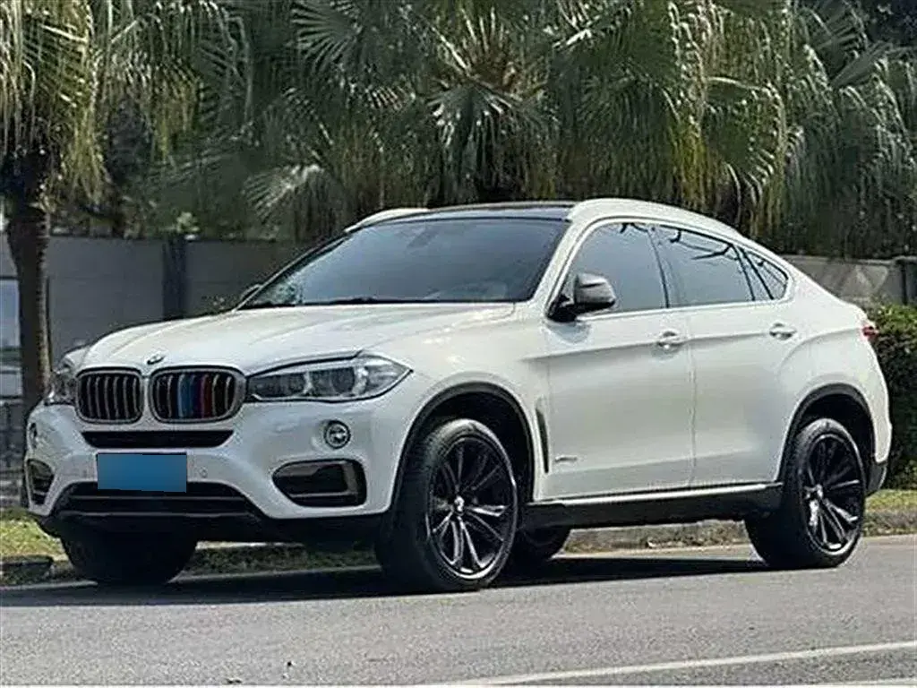 2018 BMW X6 3.0T 306HP L6 8AT