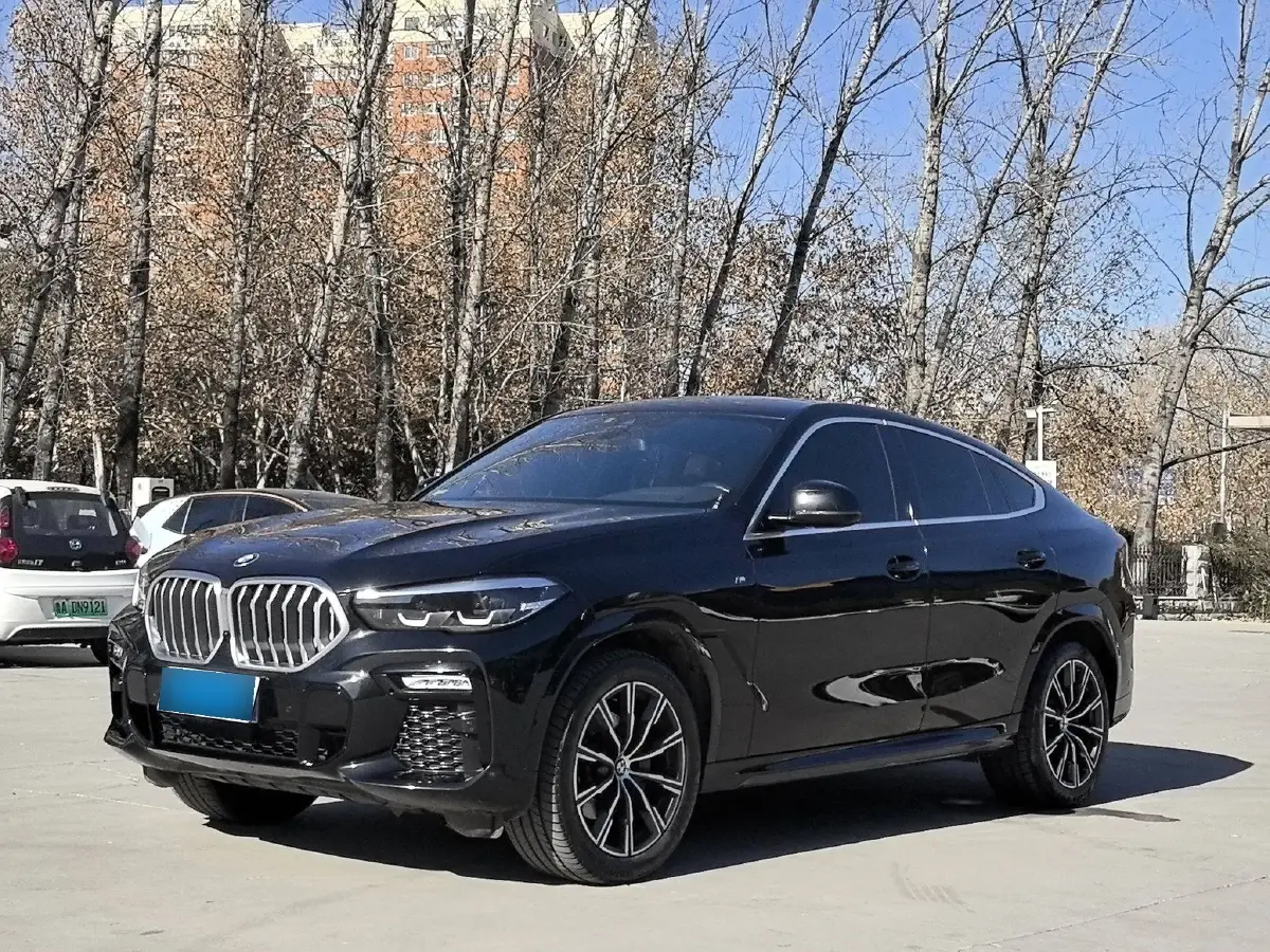 2021 BMW X6 2.0T 265HP L4 8AT