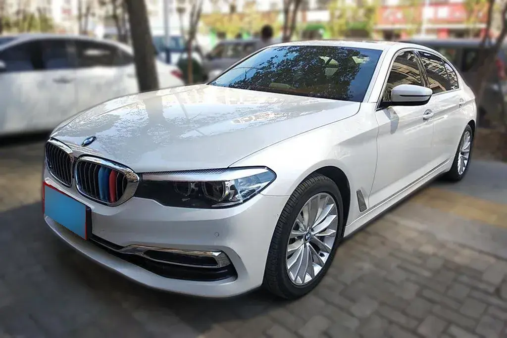 2019 BMW 5 Series 2.0T 252HP L4 8AT