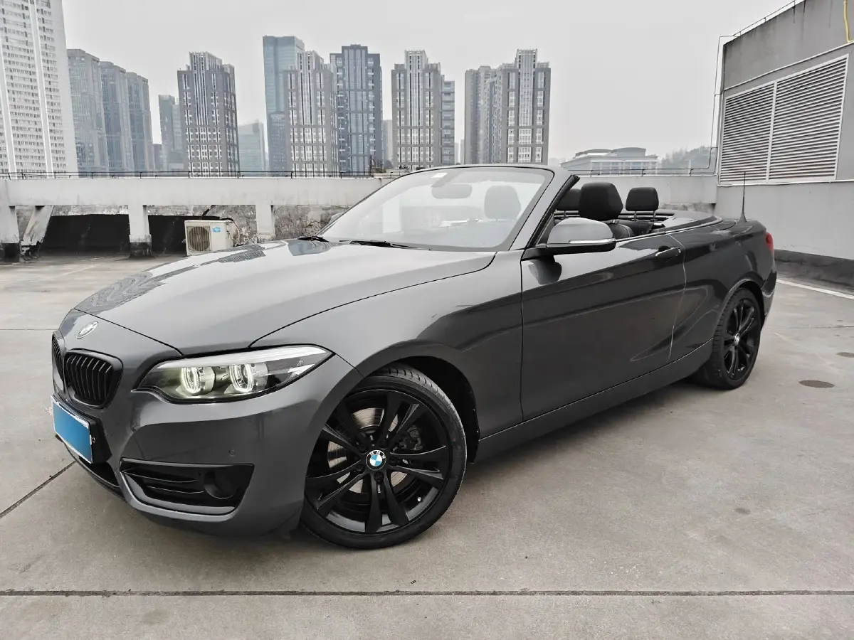 2019 BMW 2 Series 2.0T 184HP L4 8AT