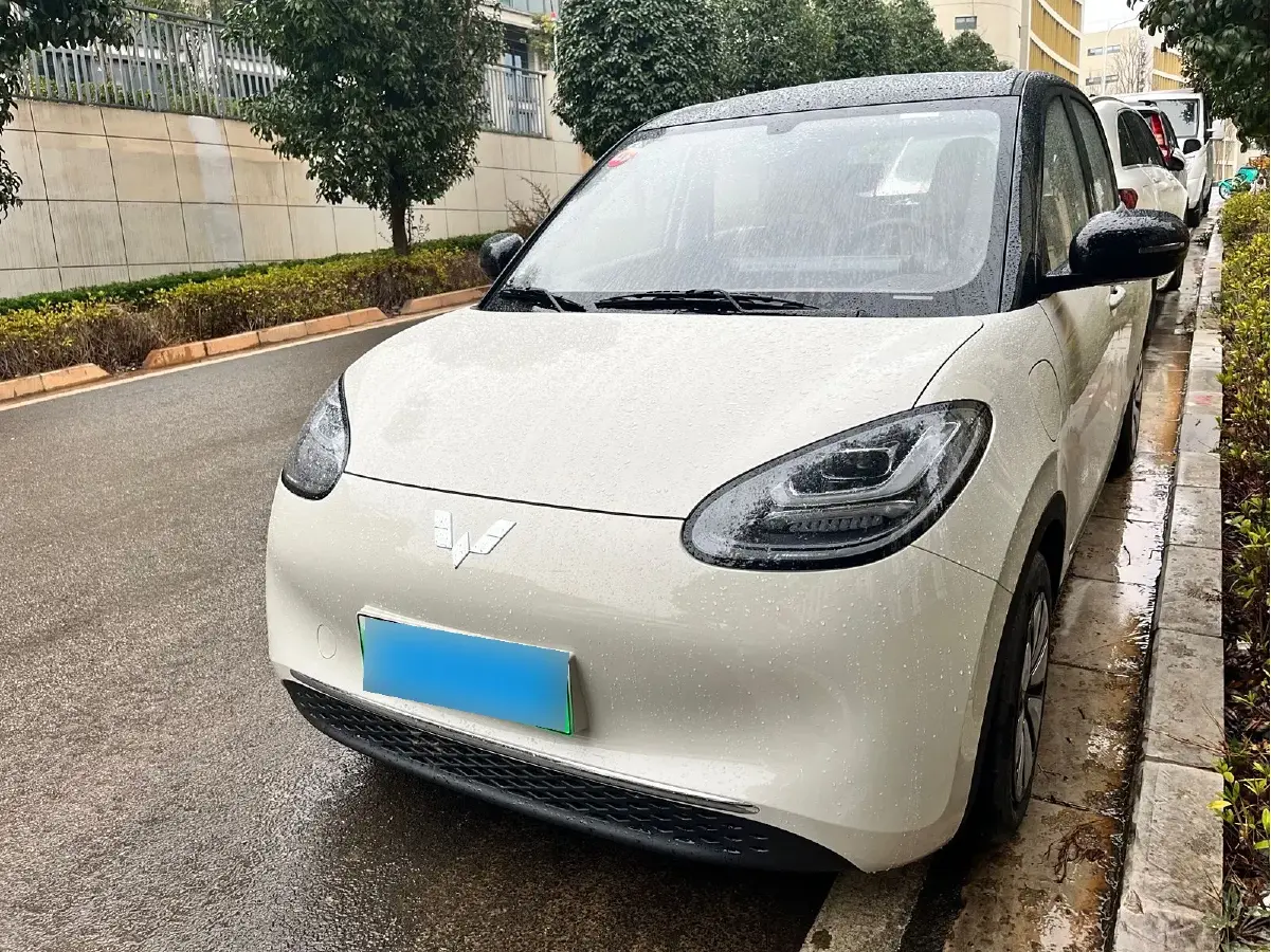 2024 WuLing BinGuo BEV 31.9KWH