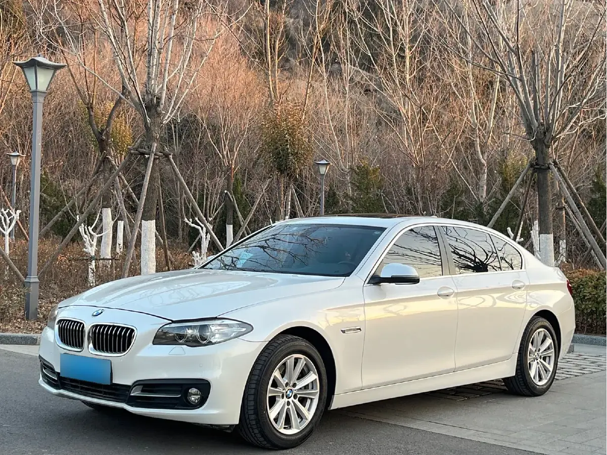 2014 BMW 5 Series 2.0T 184HP L4 8AT