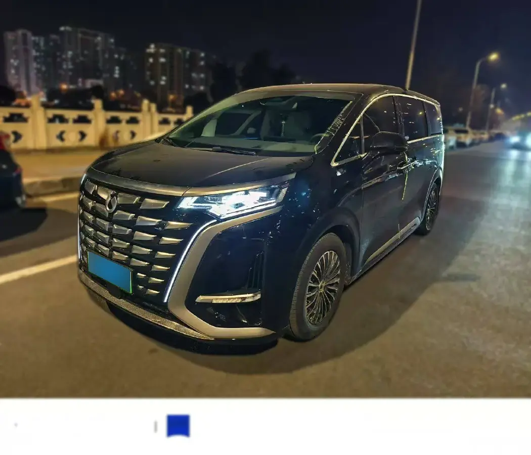 2022 Denza D9 1.5T 139HP L4 E-CVT PHEV 40.06KWH