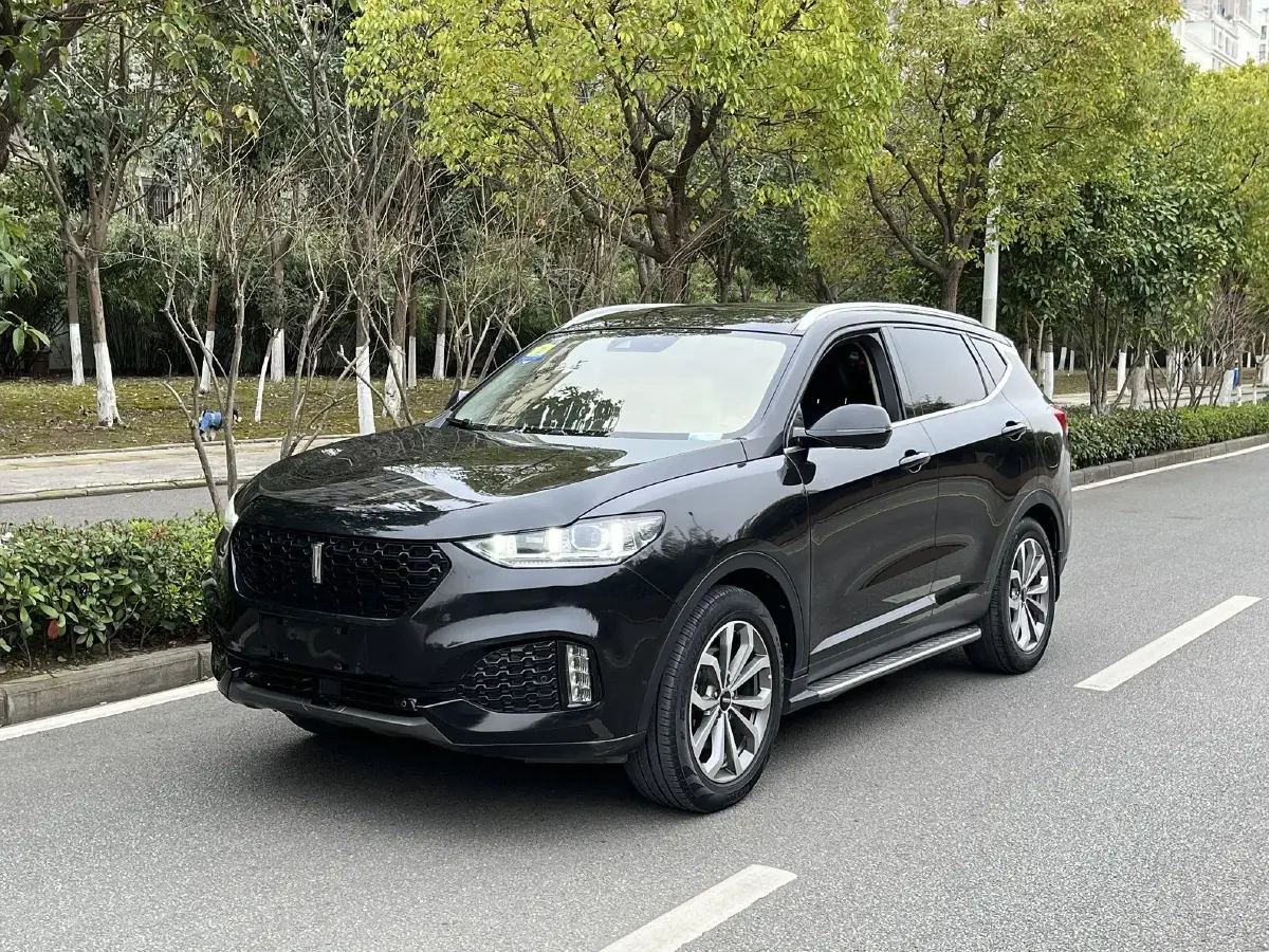 2018 WEY VV6 2.0T 197HP L4 7DCT