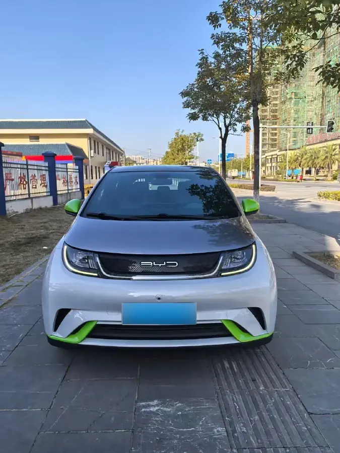 2021 BYD Dolphin BEV 44.9KWH