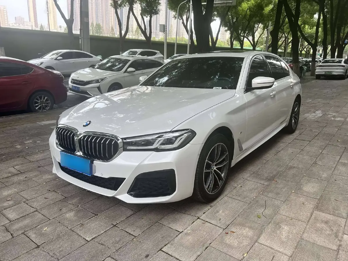 2021 BMW 5 Series 2.0T 184HP L4 8AT