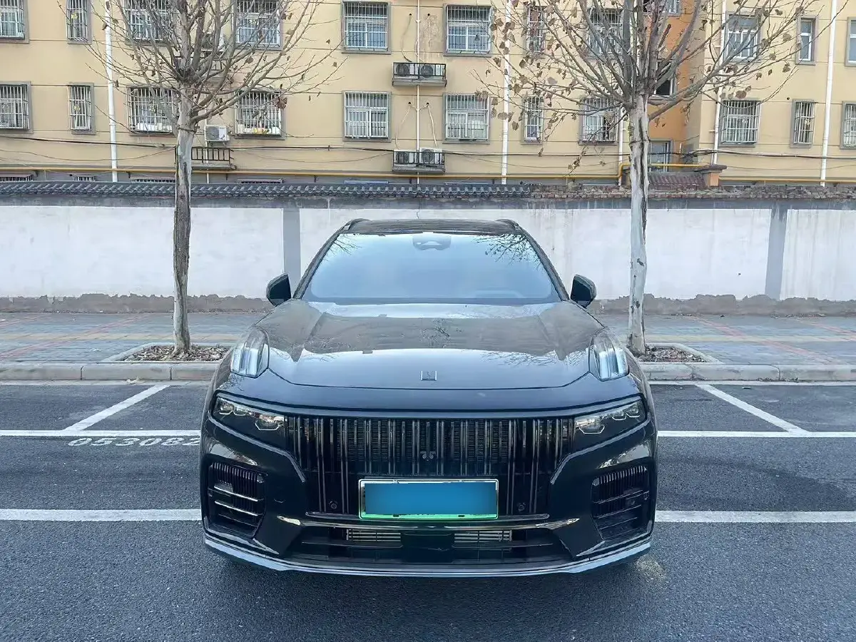 2021 LYNK&CO 09 2.0T 254HP L4 8AT