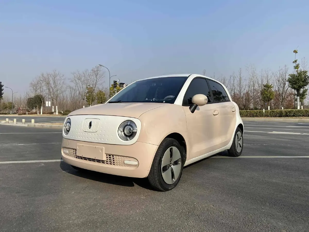 2021 Ora BlackCat BEV 30.3KWH