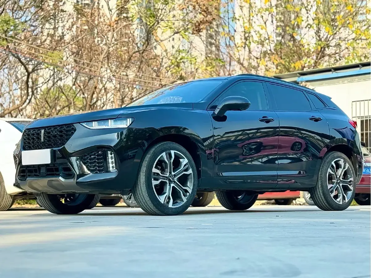 2019 WEY VV7 2.0T 234HP L4 7DCT