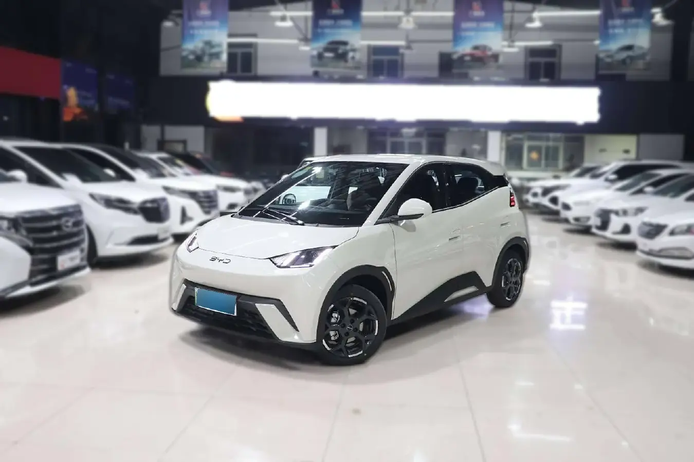 2025 BYD Seagull BEV 30.08KWH