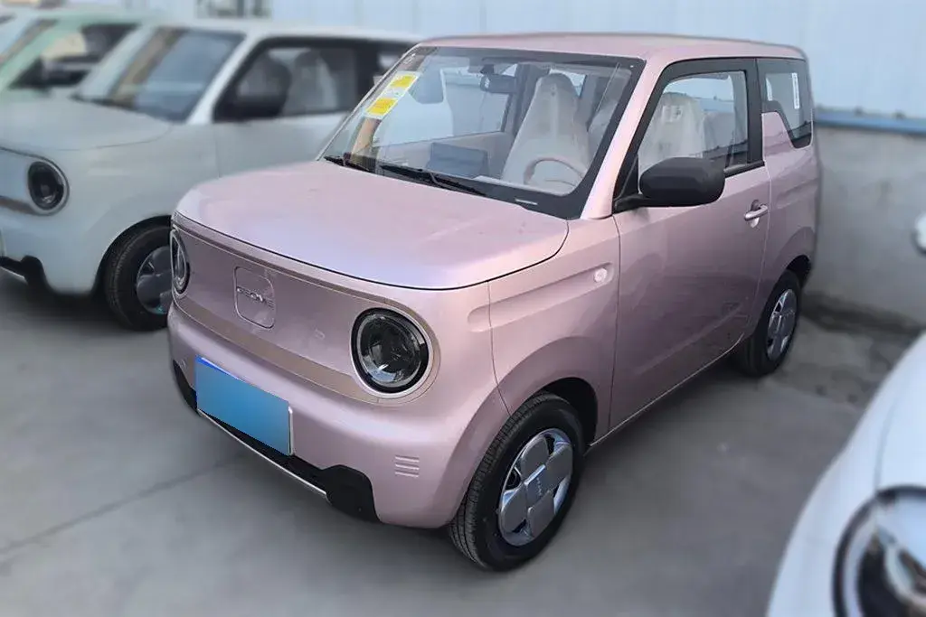 2024 Geely Panda BEV 17.03KWH
