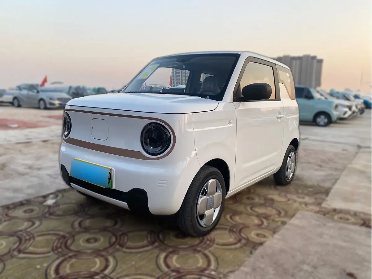 2024 Geely Panda BEV 17.03KWH