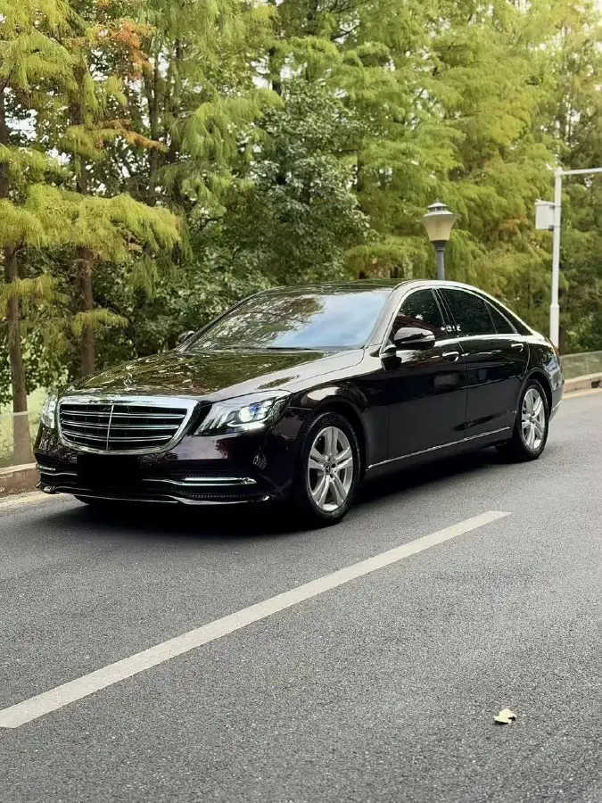 2018 Mercedes-Benz S Class 3.0T 313HP V6 9AT