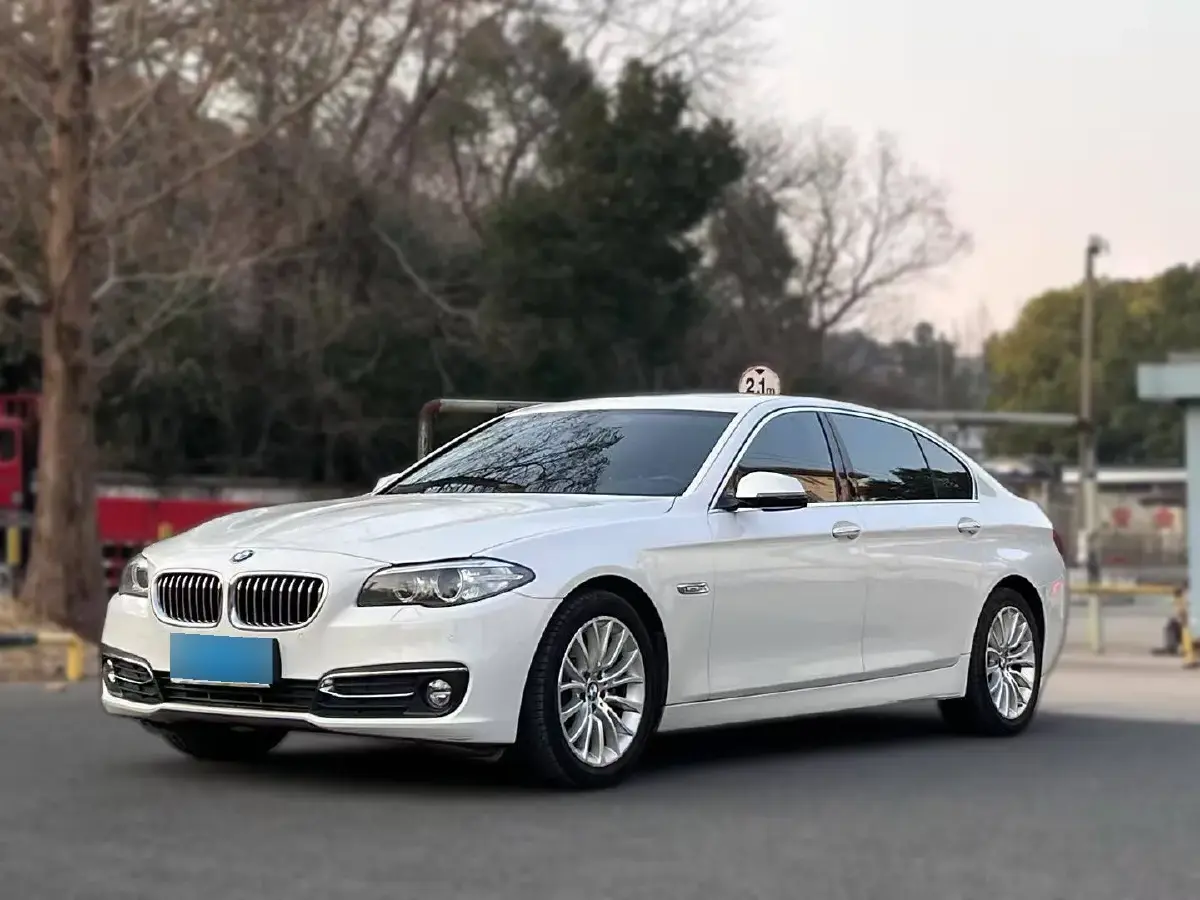 2017 BMW 5 Series 2.0T 218HP L4 8AT