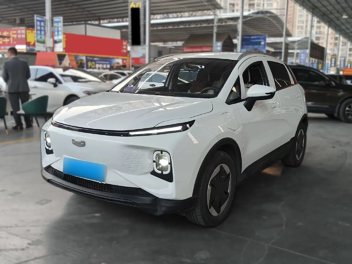 2024 Geometry E BEV 29.67KWH