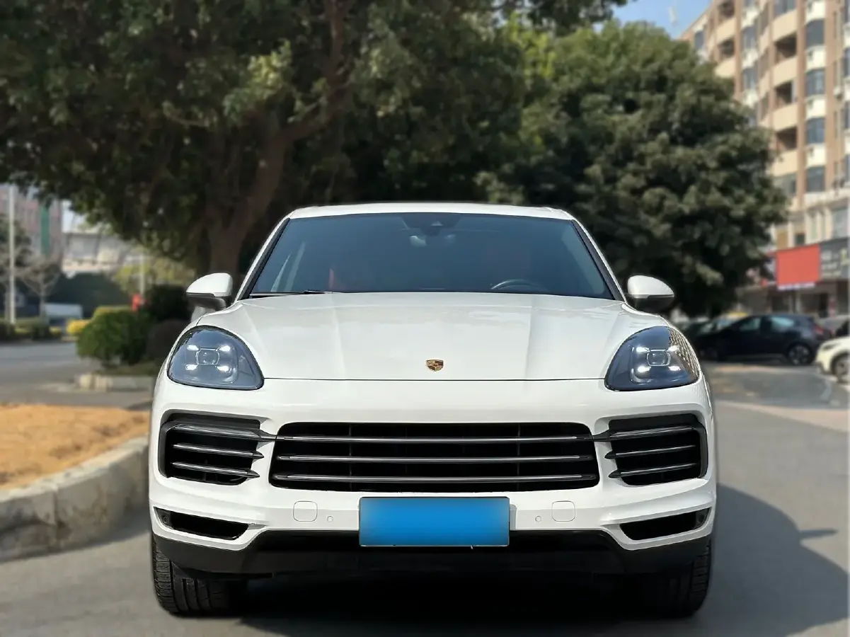 2019 Porsche Cayenne 3.0T 340HP V6 8AT