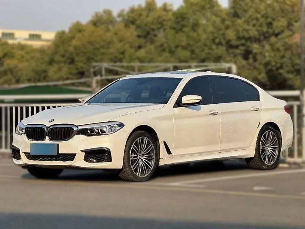 2019 BMW 5 Series 2.0T 252HP L4 8AT