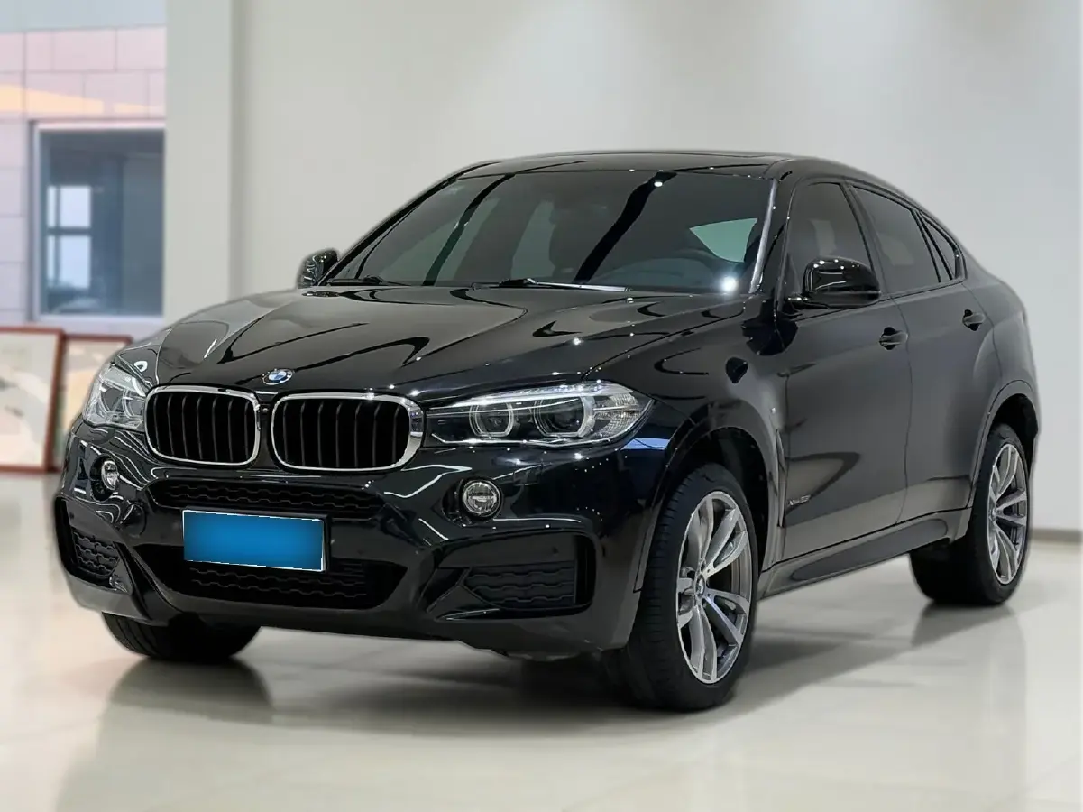 2019 BMW X6 2.0T 245HP L4 8AT