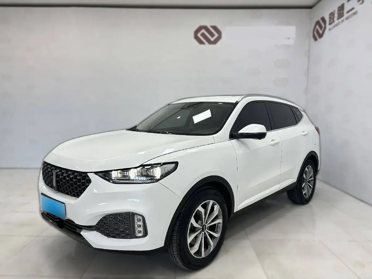 2020 WEY VV6 2.0T 227HP L4 7DCT