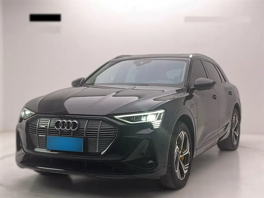 2021 Audi e-tron BEV 96.7KWH